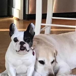 Meet your Posher, Teresa